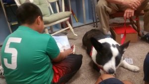 WAMC Students Read Each Week to Owen the Dog!