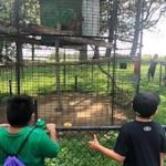 WAMC Students Visit Space Farms Zoo & Museum.