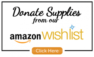 Donate Supplies from our Amazon Wishlist!