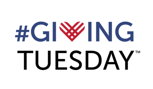 Giving Tuesday - Dulce Esperanza GoFundMe Fundraiser