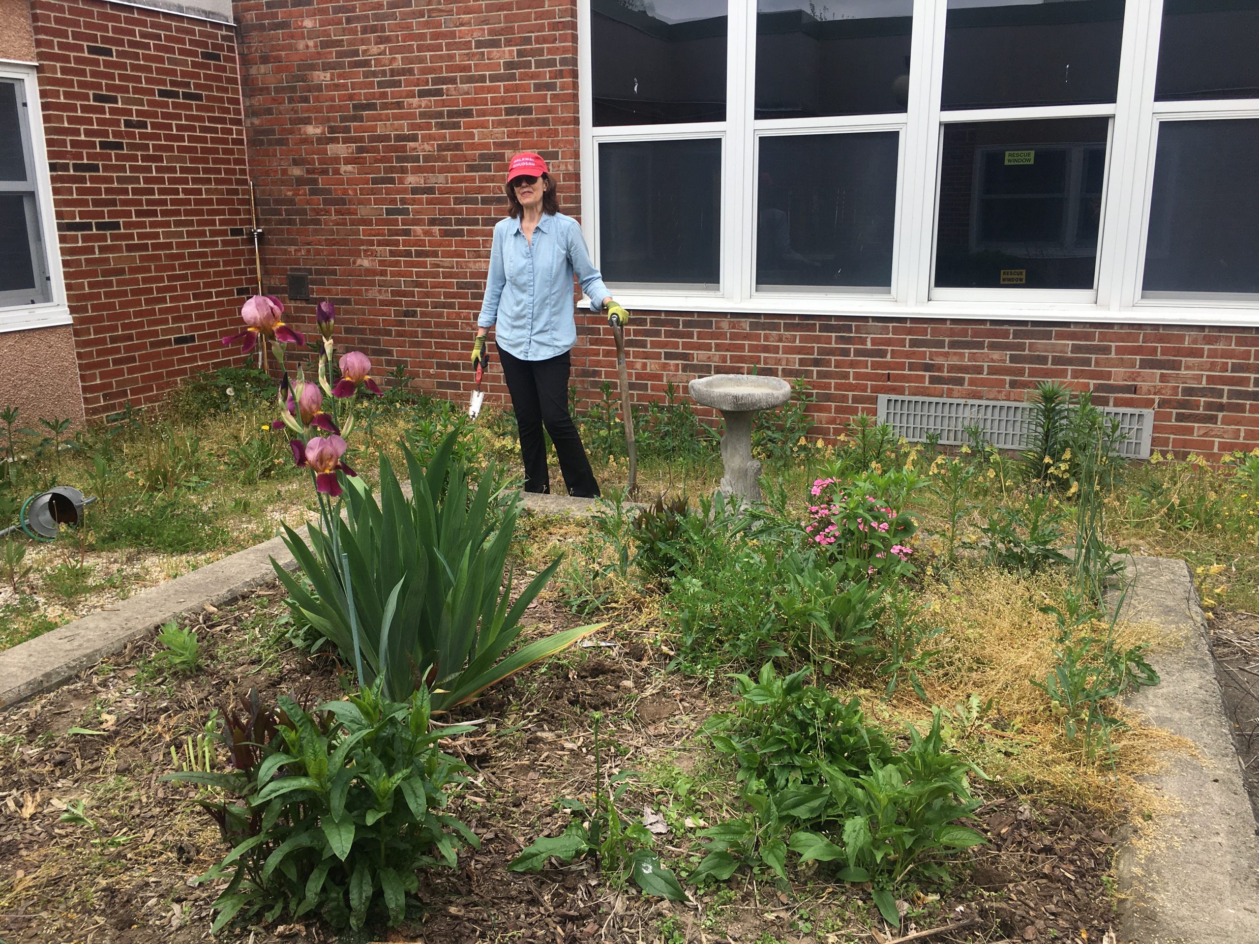 The WAMC Summer Program Garden Is Almost Ready!